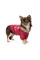 Кардиган для собак Pet Fashion Garcia XS