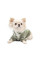 Худі для собак Pet Fashion Gray S