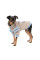 Худі для собак Pet Fashion Home XS