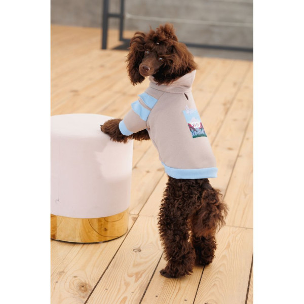 Худі для собак Pet Fashion Home XS