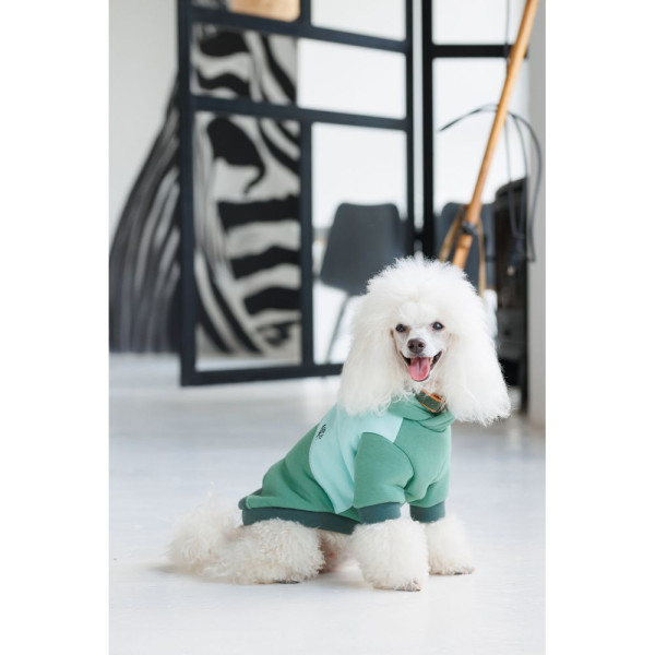 Худі для собак Pet Fashion Woody XXS