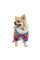 Комбінезон для собак Pet Fashion «Amaze» M