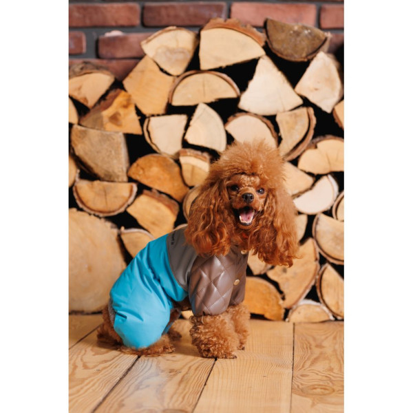 Комбінезон для собак Pet Fashion Сharlie ХS