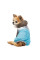 Комбінезон для собак Pet Fashion Сharlie ХS
