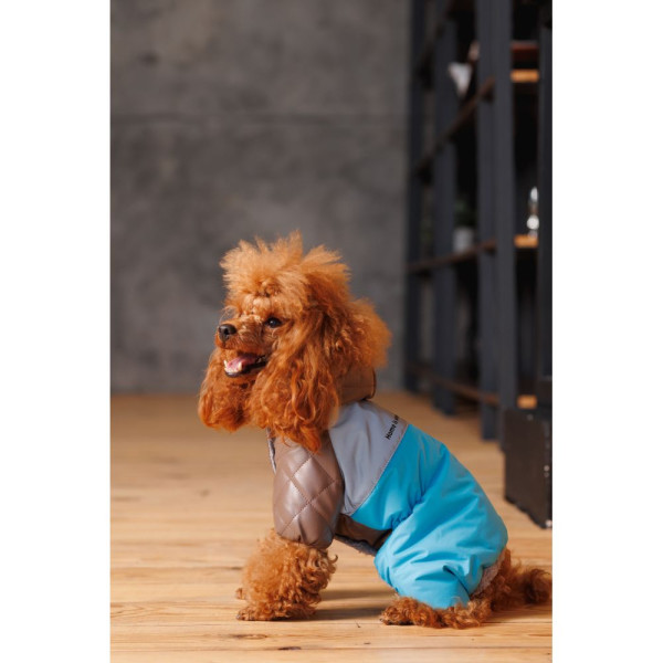 Комбінезон для собак Pet Fashion Сharlie ХS