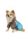 Комбінезон для собак Pet Fashion Сharlie ХS