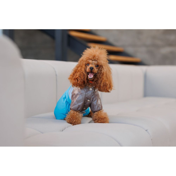 Комбінезон для собак Pet Fashion Сharlie ХS