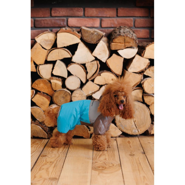 Комбінезон для собак Pet Fashion Сharlie ХS