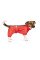 Комбінезон для собак Pet Fashion «RAIN» S такса (червоний)