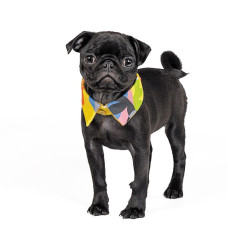 Комір для собак Pet Fashion BRIGHT XS-XS-2