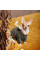 Костюм для собак Pet Fashion Alf S