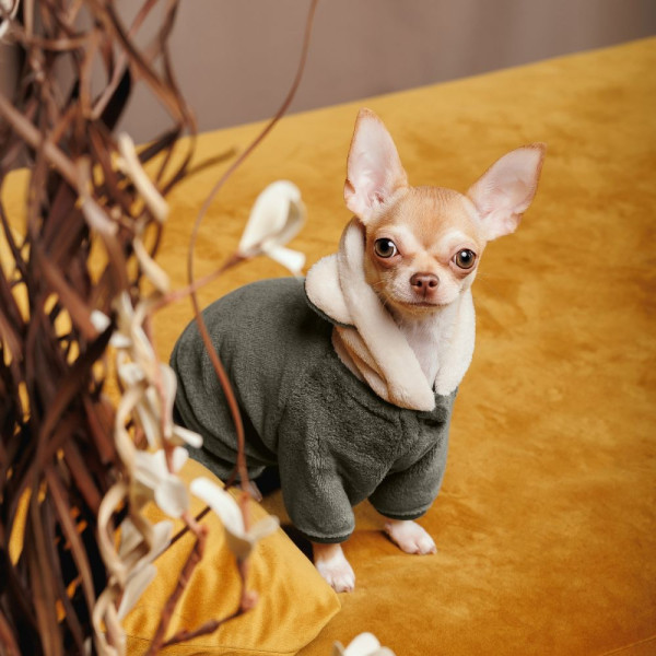 Костюм для собак Pet Fashion Alf S