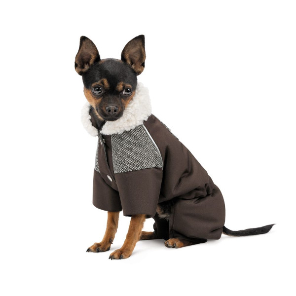 Костюм для собак Pet Fashion Locky ХS-2