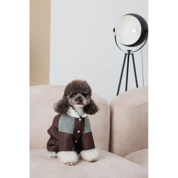 Костюм для собак Pet Fashion Locky ХS-2