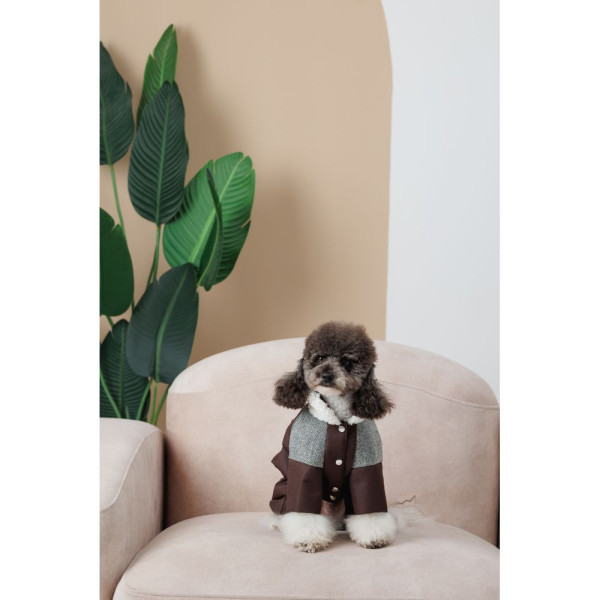 Костюм для собак Pet Fashion Locky ХS-2