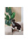 Костюм для собак Pet Fashion Locky ХS-2