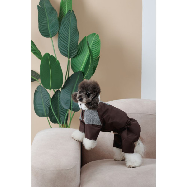 Костюм для собак Pet Fashion Locky ХS-2