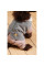 Костюм для собак Pet Fashion Twiddy M