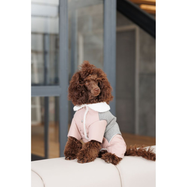 Костюм для собак Pet Fashion Twiddy M