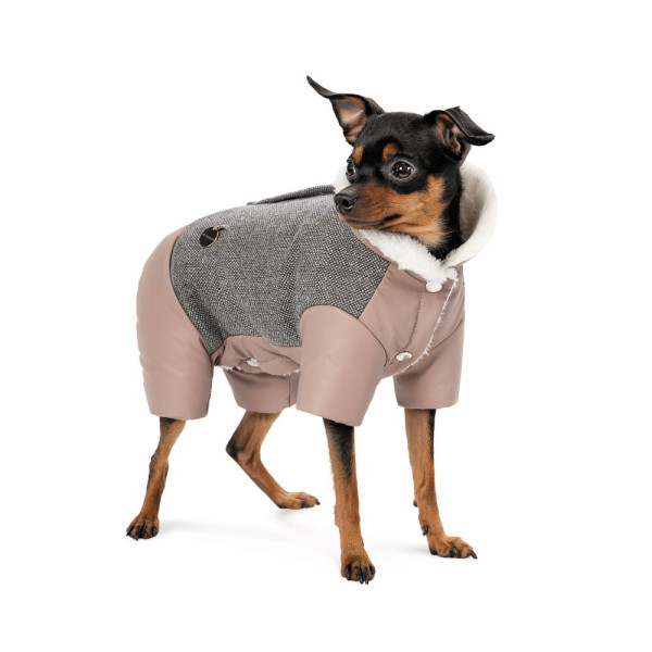 Костюм для собак Pet Fashion Twiddy M