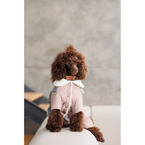 Костюм для собак Pet Fashion Twiddy M