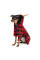 Костюм для собак Pet Fashion Xmas XS