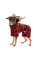 Костюм для собак Pet Fashion Xmas XS
