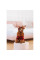 Костюм для собак Pet Fashion Xmas XS