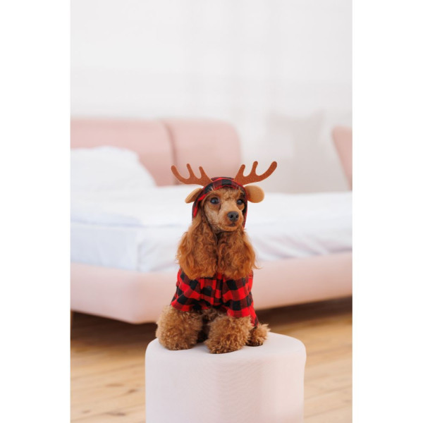 Костюм для собак Pet Fashion Xmas XS