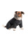 Костюм для собак Pet Fashion «BLACK» S