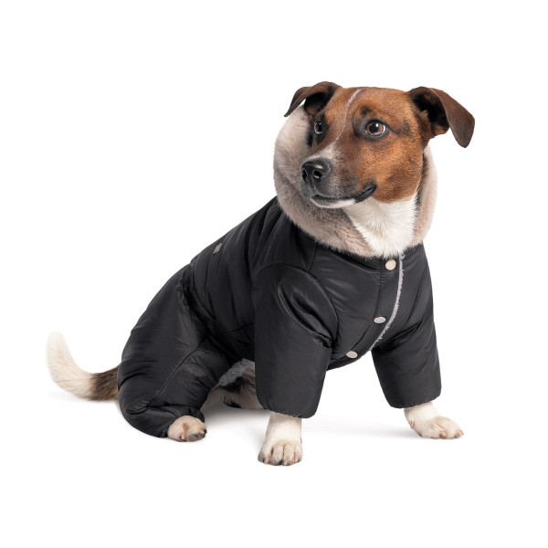 Костюм для собак Pet Fashion «BLACK» S