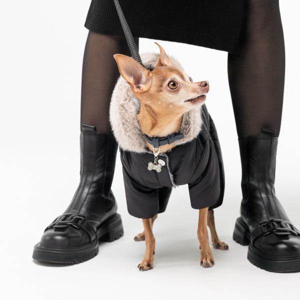 Костюм для собак Pet Fashion «BLACK» S