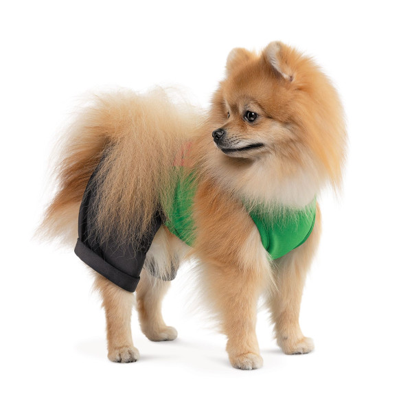 Костюм для собак Pet Fashion «Aleks» XS