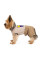 Костюм для собак Pet Fashion «MOON» М