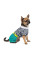 Костюм для собак Pet Fashion «Strip» S (багатокольоровий)