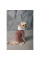 Костюм для собак Pet Fashion Alf XS-2