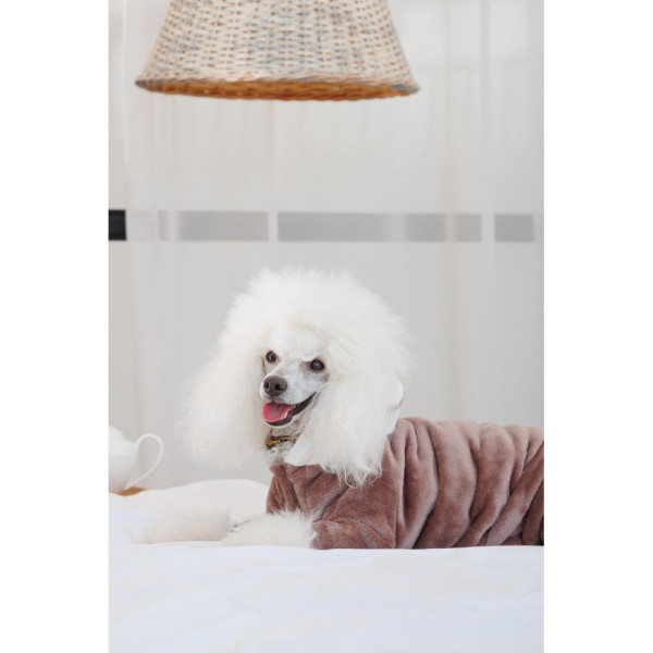 Костюм для собак Pet Fashion Alf XS-2