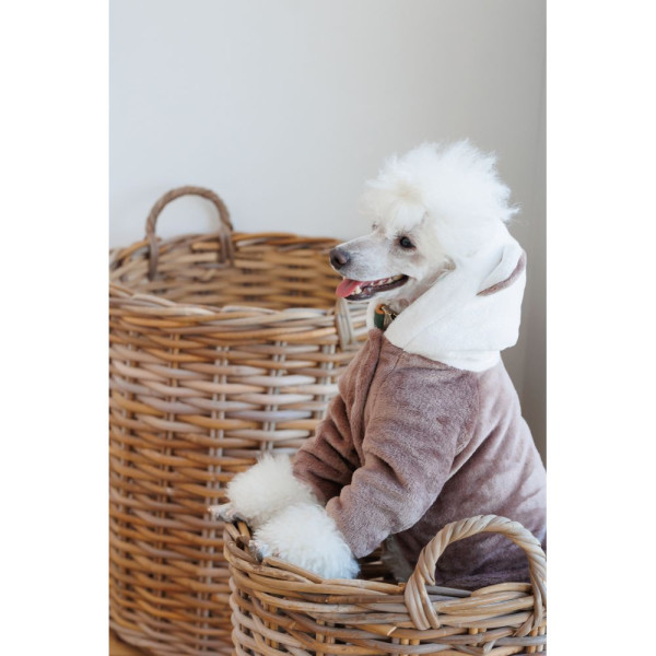 Костюм для собак Pet Fashion Alf XS-2
