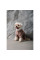 Костюм для собак Pet Fashion Alf XS-2