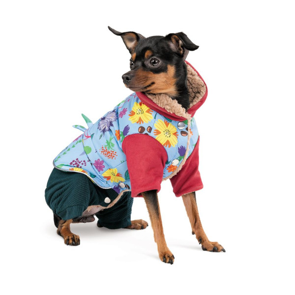 Костюм для собак Pet Fashion Alisa XS