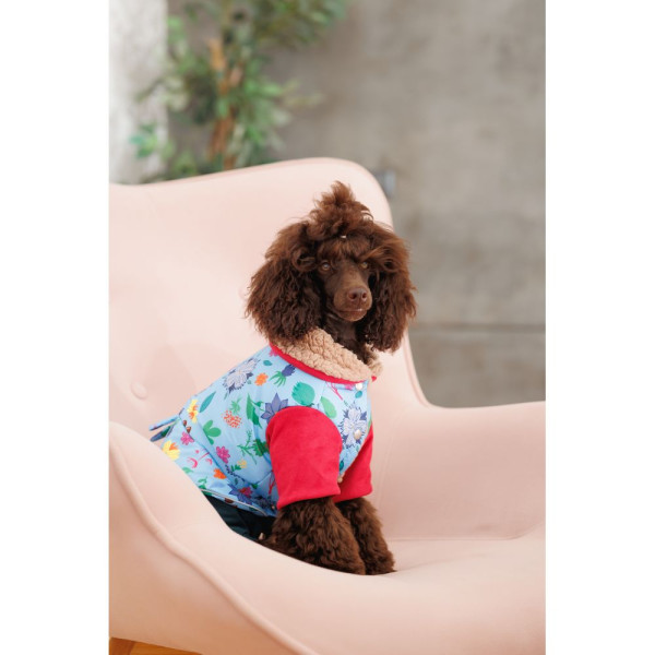 Костюм для собак Pet Fashion Alisa XS