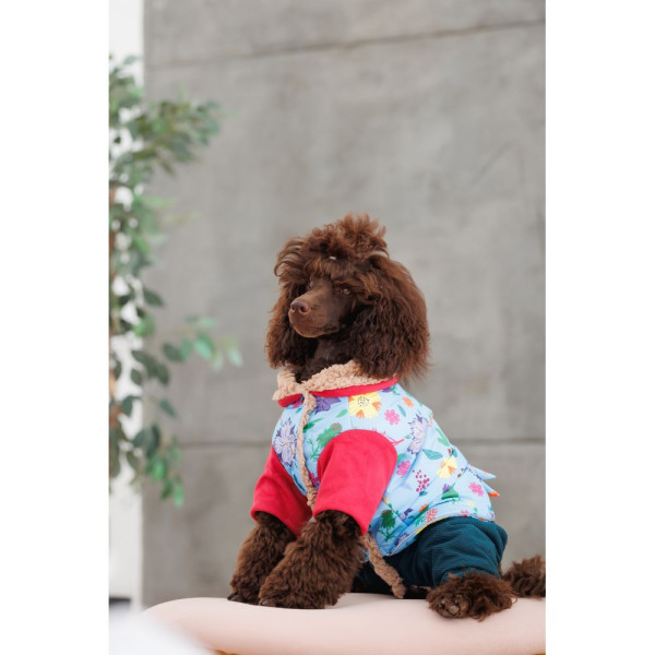 Костюм для собак Pet Fashion Alisa XS