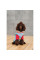 Костюм для собак Pet Fashion Alisa XS