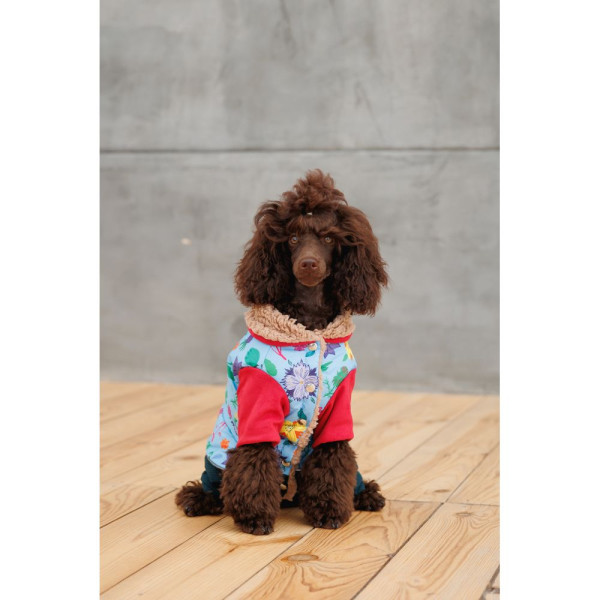 Костюм для собак Pet Fashion Alisa XS