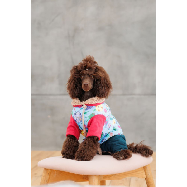 Костюм для собак Pet Fashion Alisa XS
