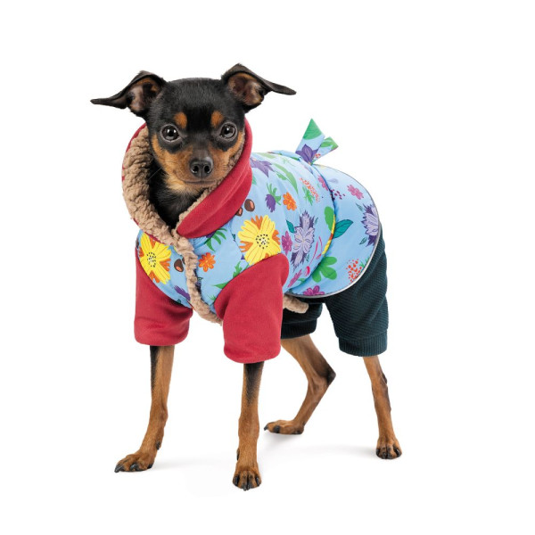 Костюм для собак Pet Fashion Alisa XS
