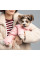 Костюм для собак Pet Fashion «JUDY» M