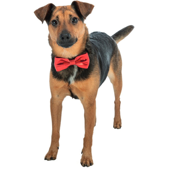 Краватка-метелик для собак Trixie Xmas Suit bow tie 10 см