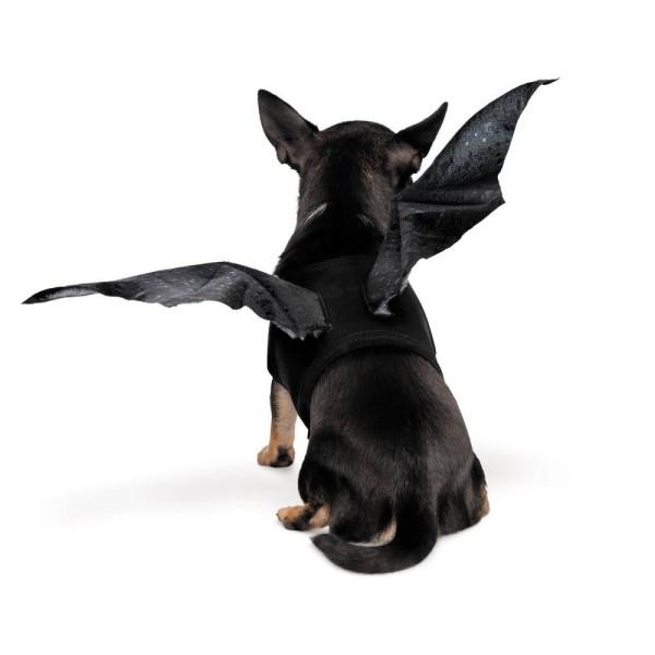 Крила для собак Pet Fashion Web XS-XS-2