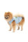 Майка для собак Pet Fashion Adam М